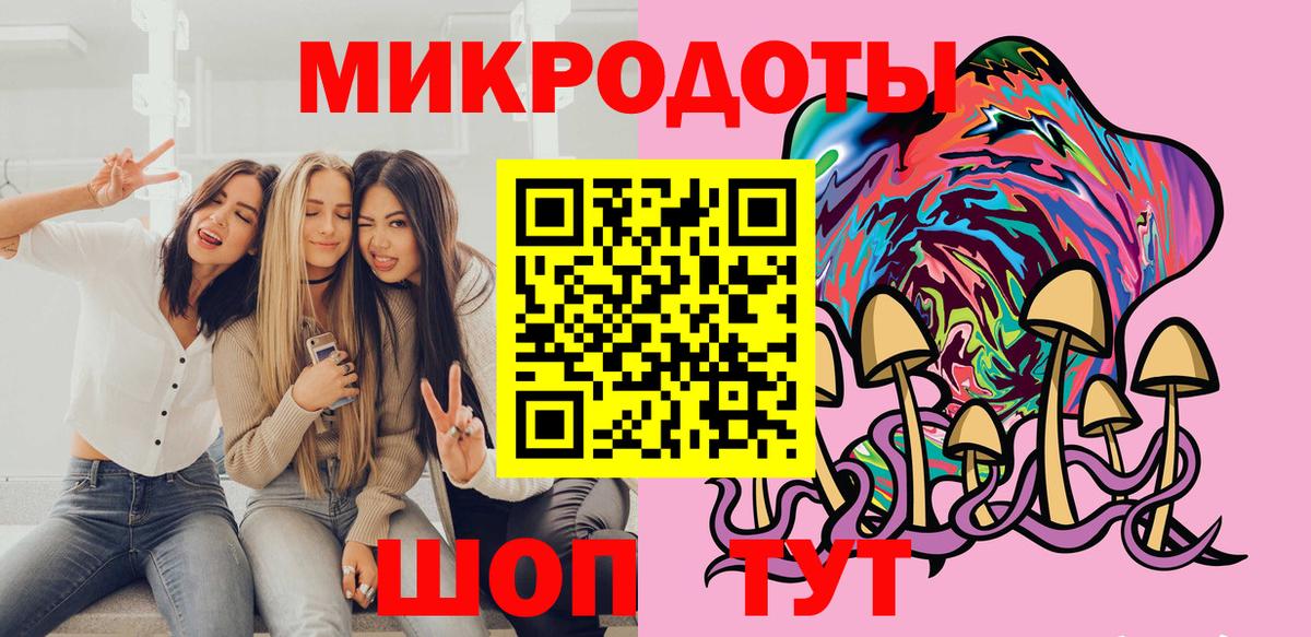 Псилоцибиновые грибы Psilocybine cubensis Новосибирск