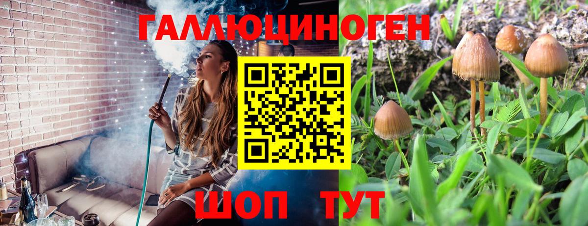 Галлюциногенные грибы мицелий  Вход с VPN  сколько стоит  Новосибирск 